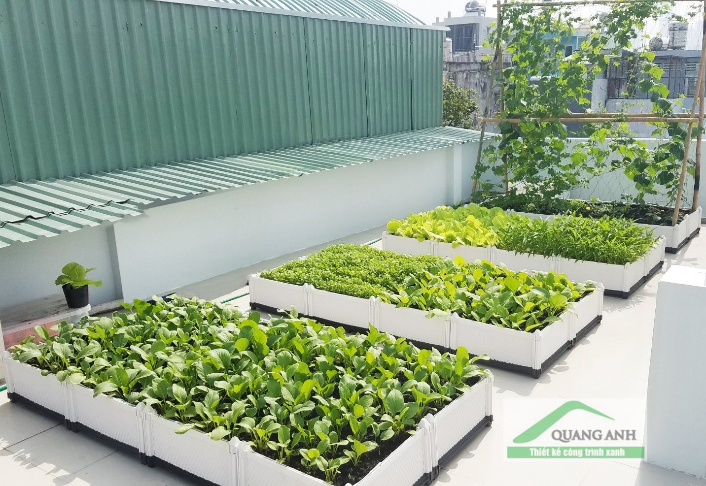 Chậu ghép thông minh Quang Anh - Lựa chọn cho khu vườn tuyệt vời Chậu ghép thông minh Quang Anh - Lựa chọn cho khu vườn tuyệt vời