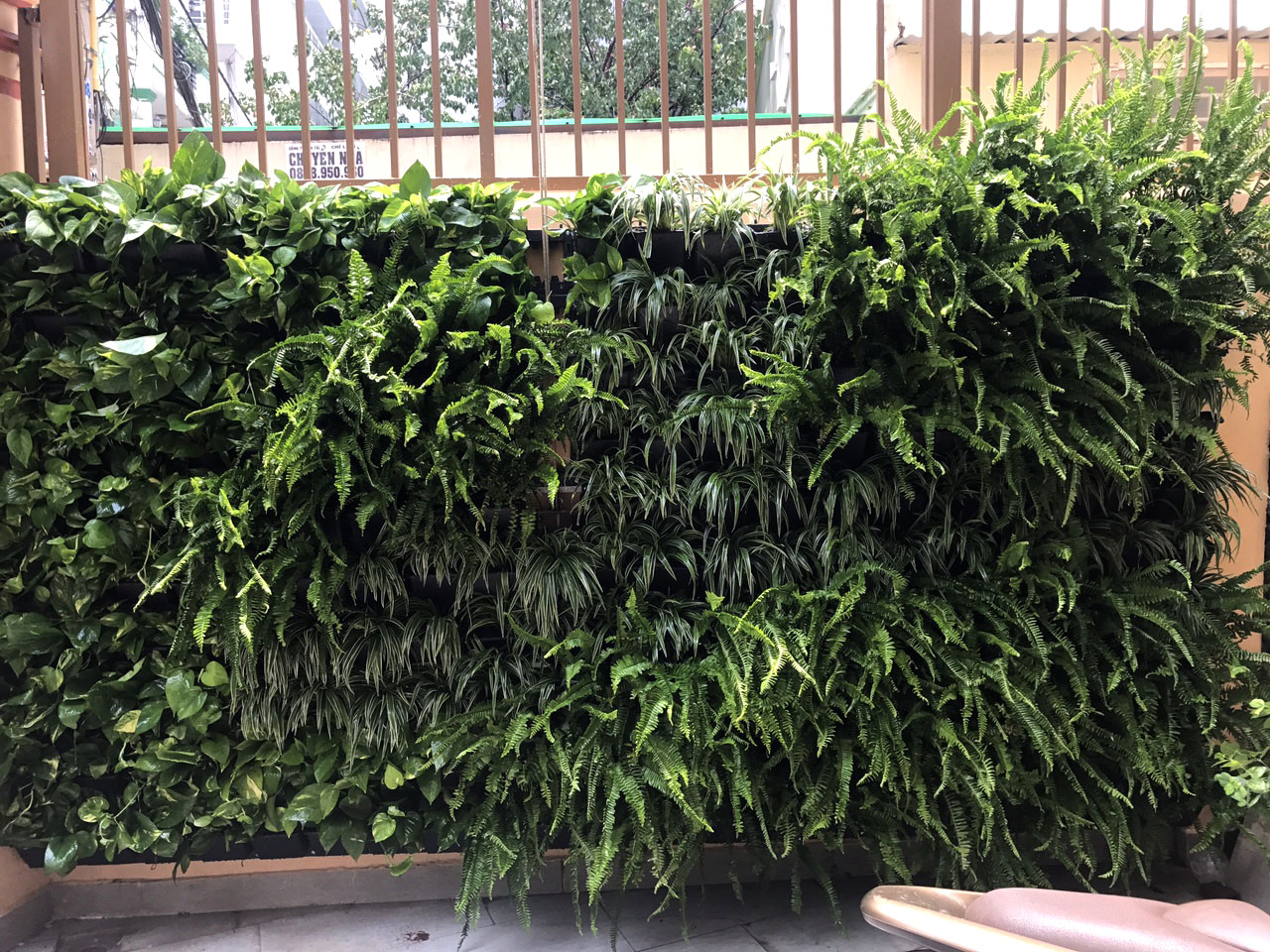 Những mô hình vườn tường nhà phố đẹp nhất Quang Anh thiết kế thi công Những mô hình vườn tường nhà phố đẹp nhất Quang Anh thiết kế thi công