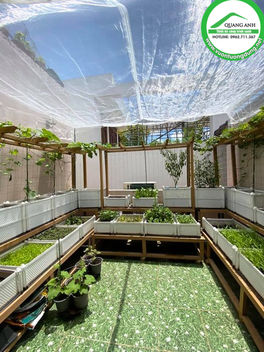 VƯỜN RAU ĐƯỢC THIẾT KẾ BẰNG CHẬU GHÉP XINH LUNG LINH CỦA CHỊ KHÁCH VIP Ở BÌNH THẠNH! VƯỜN RAU ĐƯỢC THIẾT KẾ BẰNG CHẬU GHÉP XINH LUNG LINH CỦA CHỊ KHÁCH VIP Ở BÌNH THẠNH!