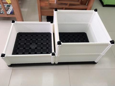 Địa chỉ bán chậu nhựa trồng cây phù hợp với từng loại cây bạn trồng Địa chỉ bán chậu nhựa trồng cây phù hợp với từng loại cây bạn trồng