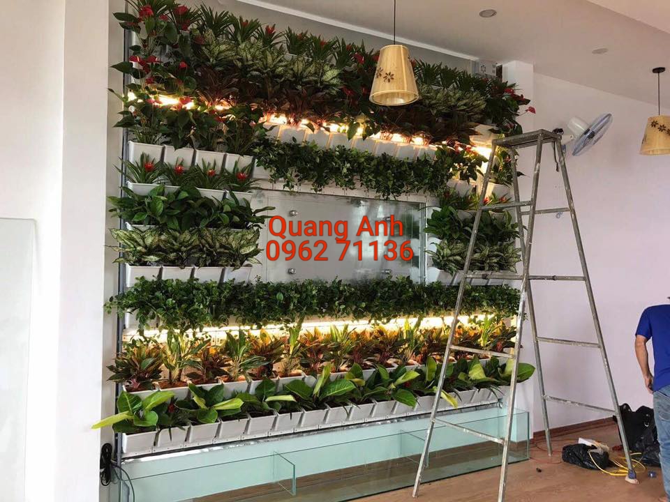 Thiết kế vườn tường trong nhà tuyệt đẹp và sang trọng Thiết kế vườn tường trong nhà tuyệt đẹp và sang trọng