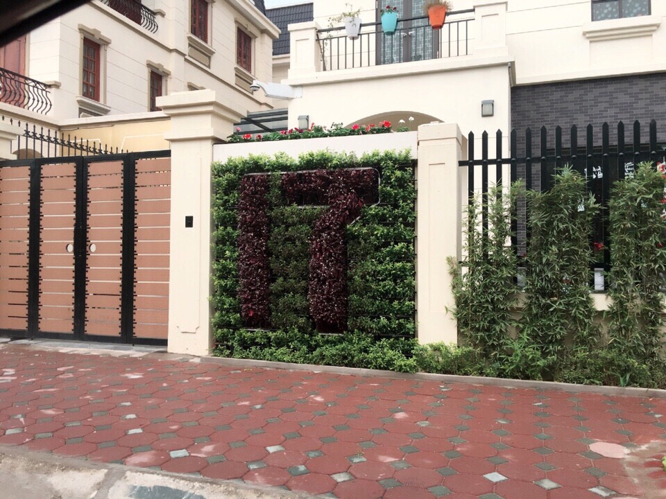 Cách làm tường cây trong nhà hiệu quả nhất Cách làm tường cây trong nhà hiệu quả nhất