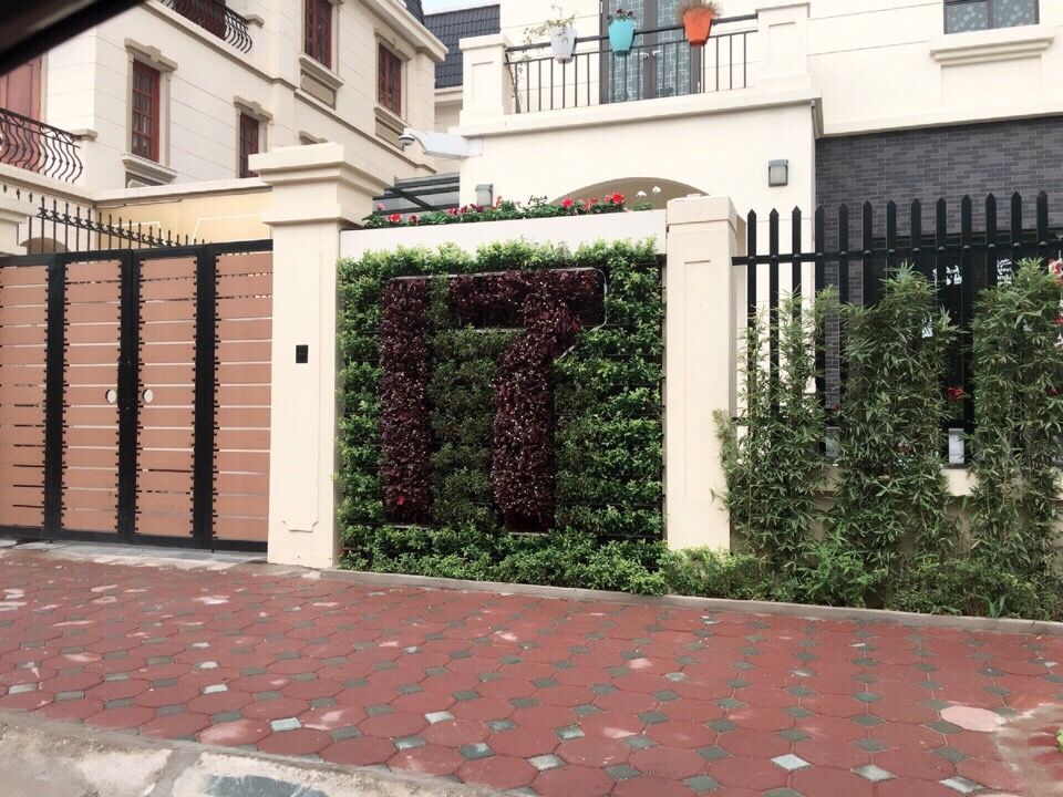 Thiết kế vườn tường xanh trong nhà đẹp nhất tại công ty Quang Anh