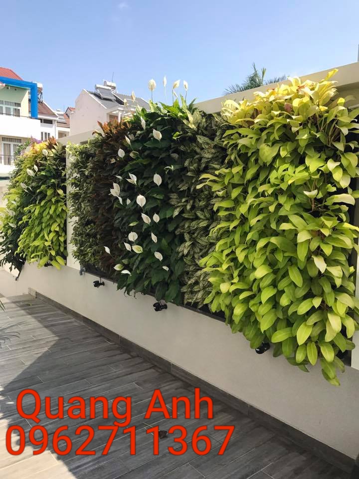 Lý do khiến vườn tường đứng thật hữu ích Lý do khiến vườn tường đứng thật hữu ích