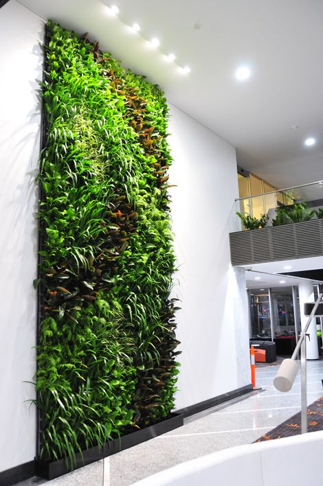 Mảng vườn tường xanh được thi công bởi Quang Anh HCM Mảng vườn tường xanh được thi công bởi Quang Anh HCM