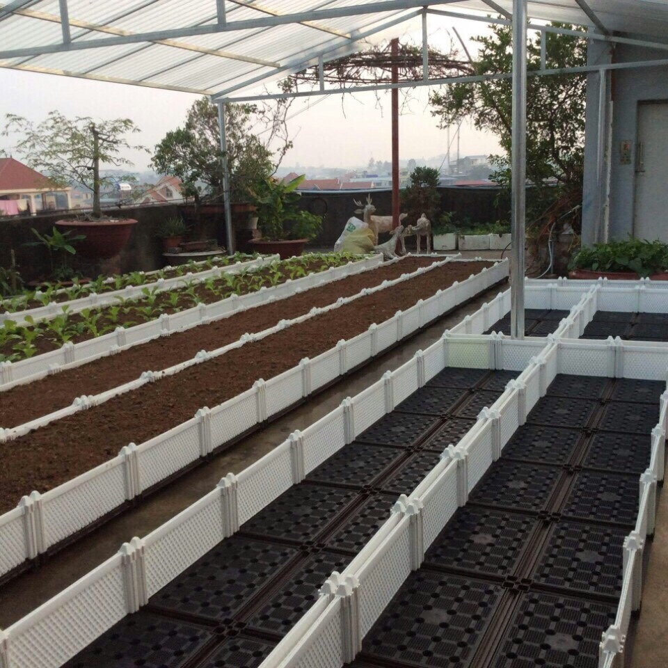 Vườn rau sạch trên sân thượng với chậu ghép thông minh Quang Anh HCM Vườn rau sạch trên sân thượng với chậu ghép thông minh Quang Anh HCM