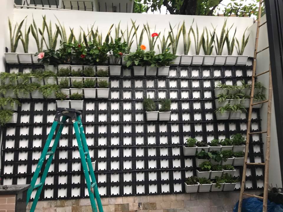 Lý do Quang Anh là địa chỉ thiết kế vườn trên tường tốt nhất hiện nay