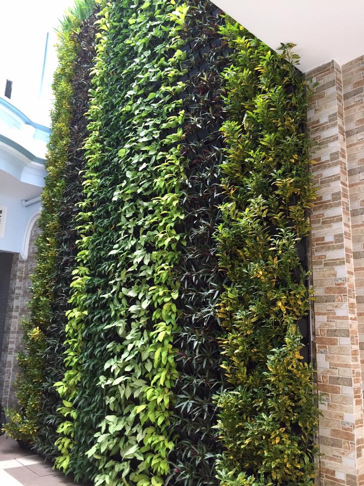 Quang Anh HCM - Thiết kế thi công công trình xanh cho mọi nhà! Quang Anh HCM - Thiết kế thi công công trình xanh cho mọi nhà!
