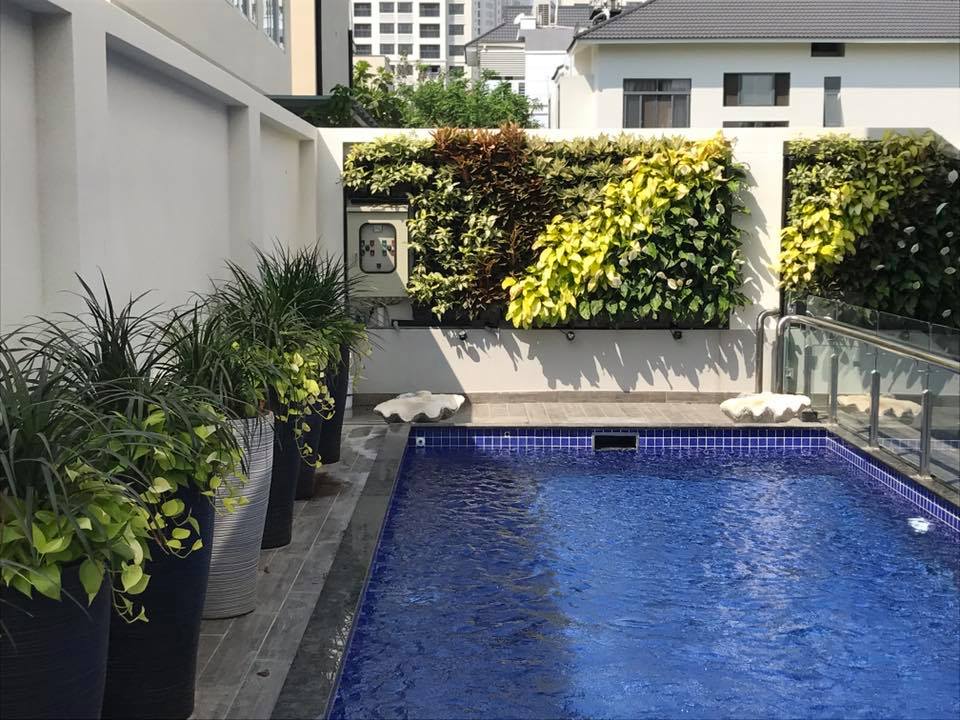 Video modul vườn tường đứng vườn tường xanh Quang Anh Video modul vườn tường đứng vườn tường xanh Quang Anh