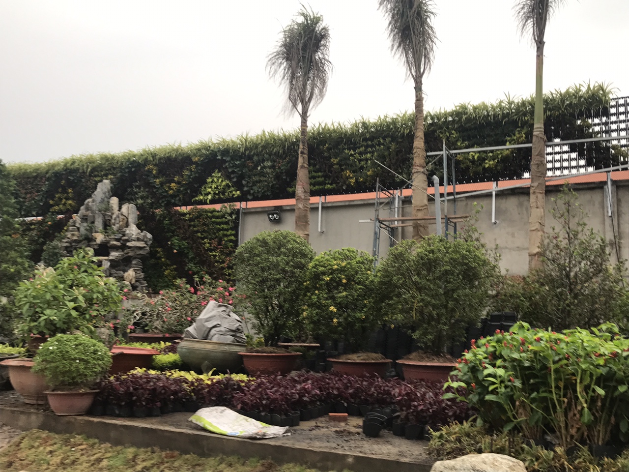 Thiết kế tường cây trong nhà uy tín và giá rẻ tphcm-Công ty Quang Anh Thiết kế tường cây trong nhà uy tín và giá rẻ tphcm-Công ty Quang Anh