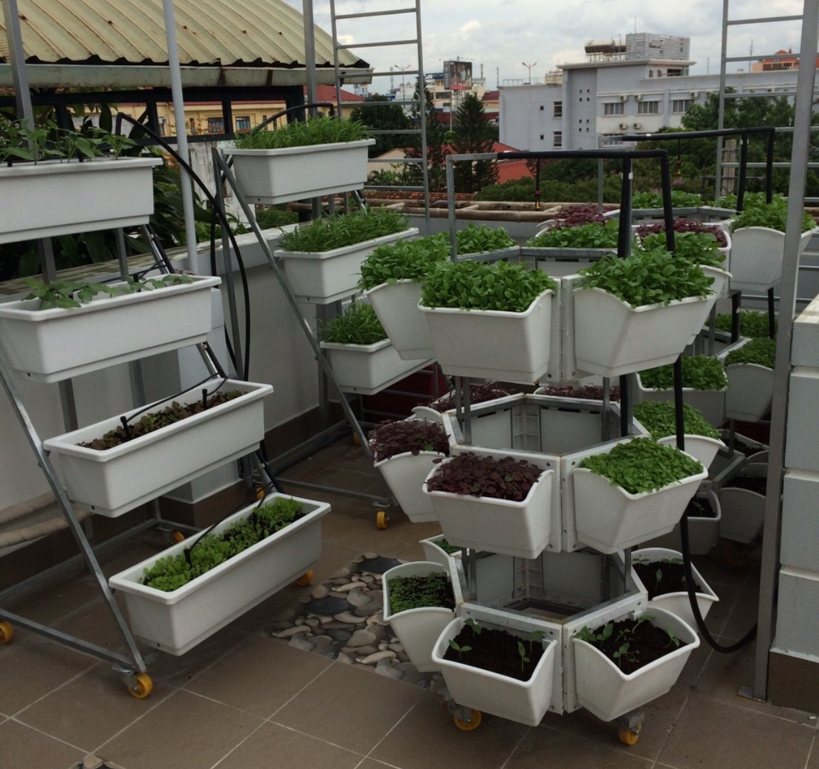 Địa chỉ thiết kế vườn rau trên sân thượng đẹp và phù hợp nhất với không gian nhà bạn Địa chỉ thiết kế vườn rau trên sân thượng đẹp và phù hợp nhất với không gian nhà bạn