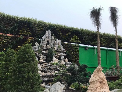 Tác dụng tuyệt vời của vườn tường đứng Tác dụng tuyệt vời của vườn tường đứng