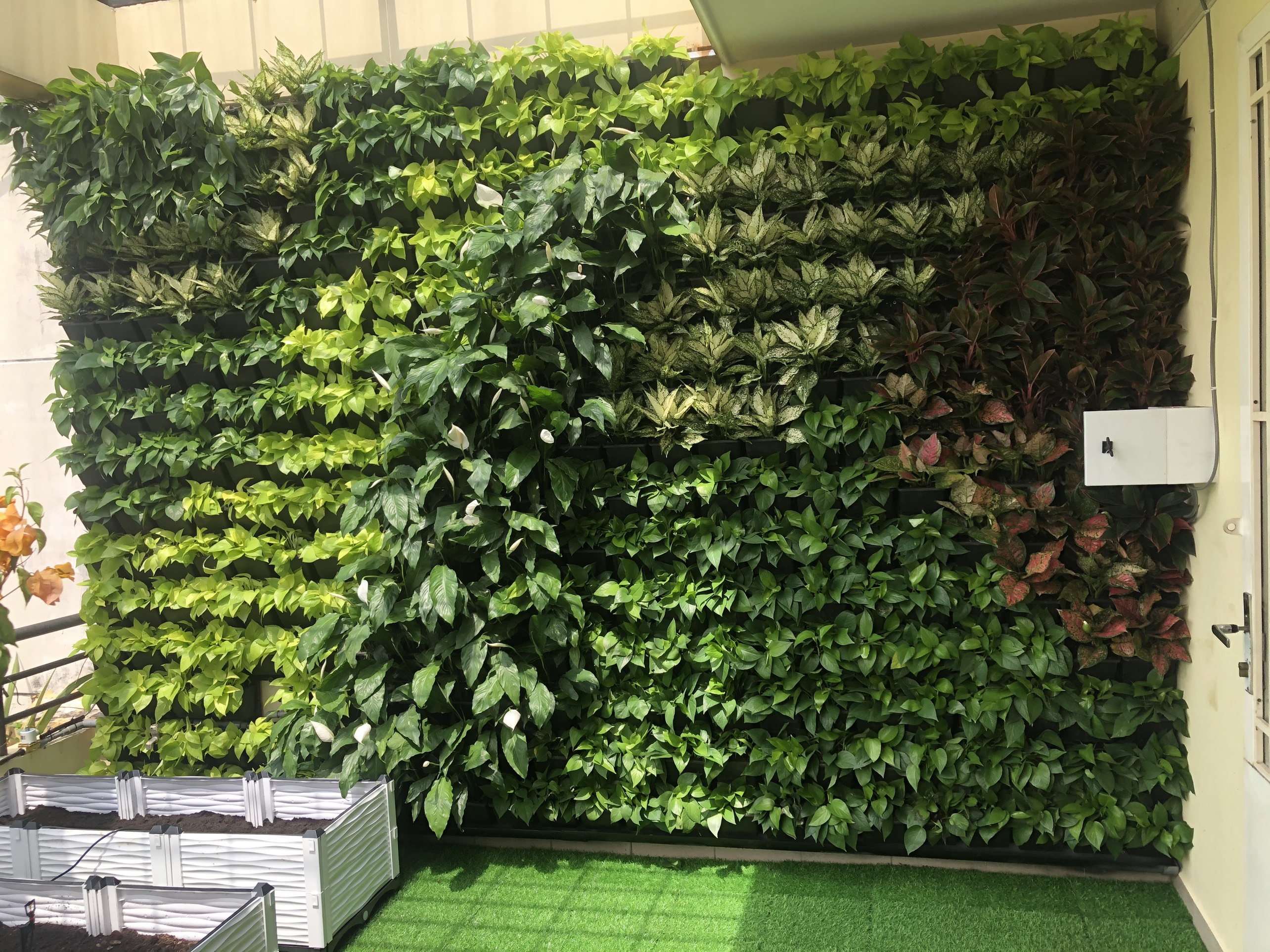 Những mô hình vườn tường đứng đẹp nhất năm 2021 Những mô hình vườn tường đứng đẹp nhất năm 2021