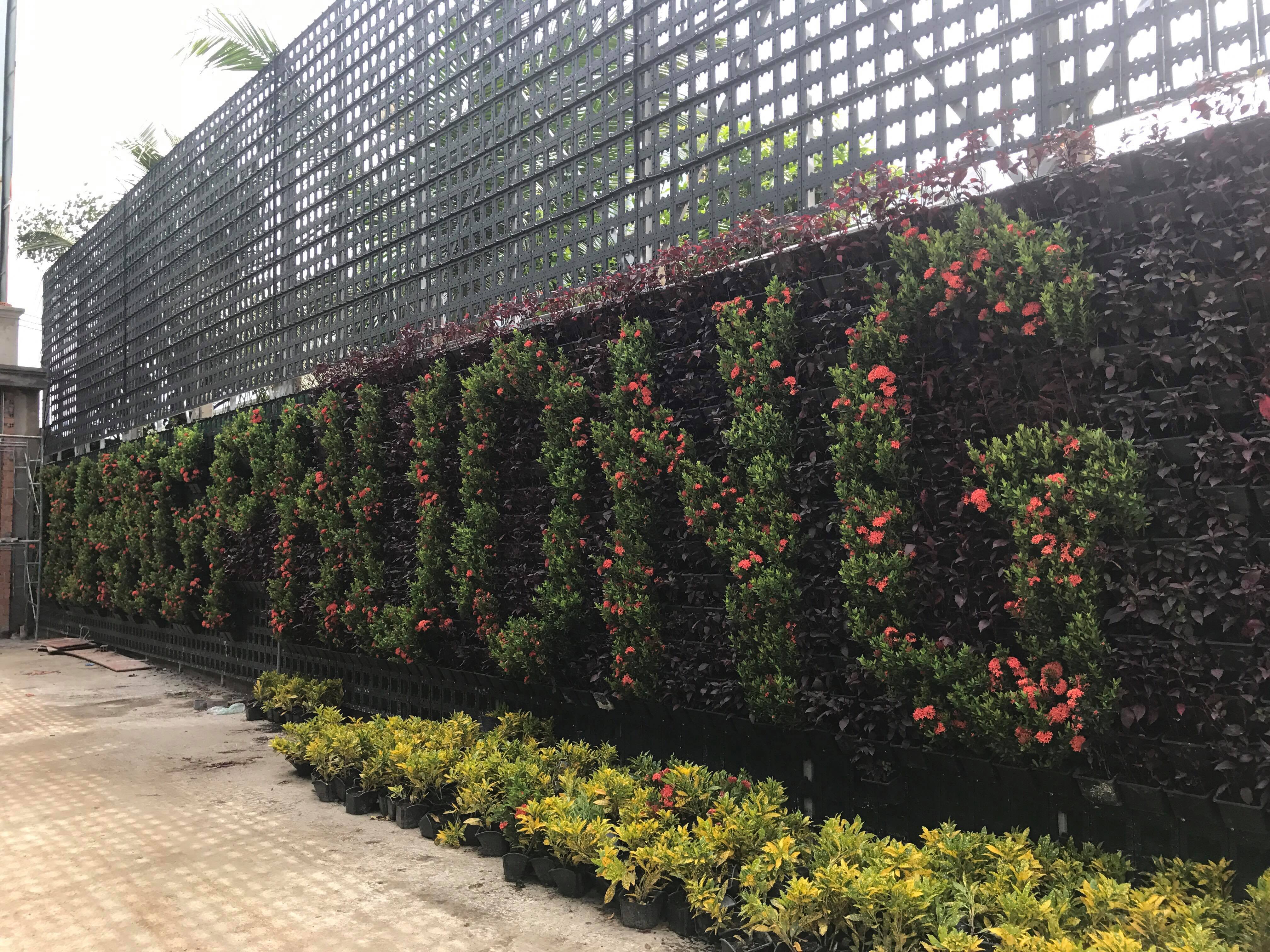 6 Mẫu vườn tường đẹp xinh lung linh dành cho nhà phố, biệt thự 6 Mẫu vườn tường đẹp xinh lung linh dành cho nhà phố, biệt thự