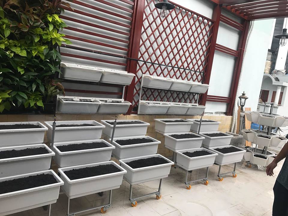 Bán giàn trồng rau thông minh tại nhà uy tín và giá rẻ-cty Quang Anh Bán giàn trồng rau thông minh tại nhà uy tín và giá rẻ-cty Quang Anh