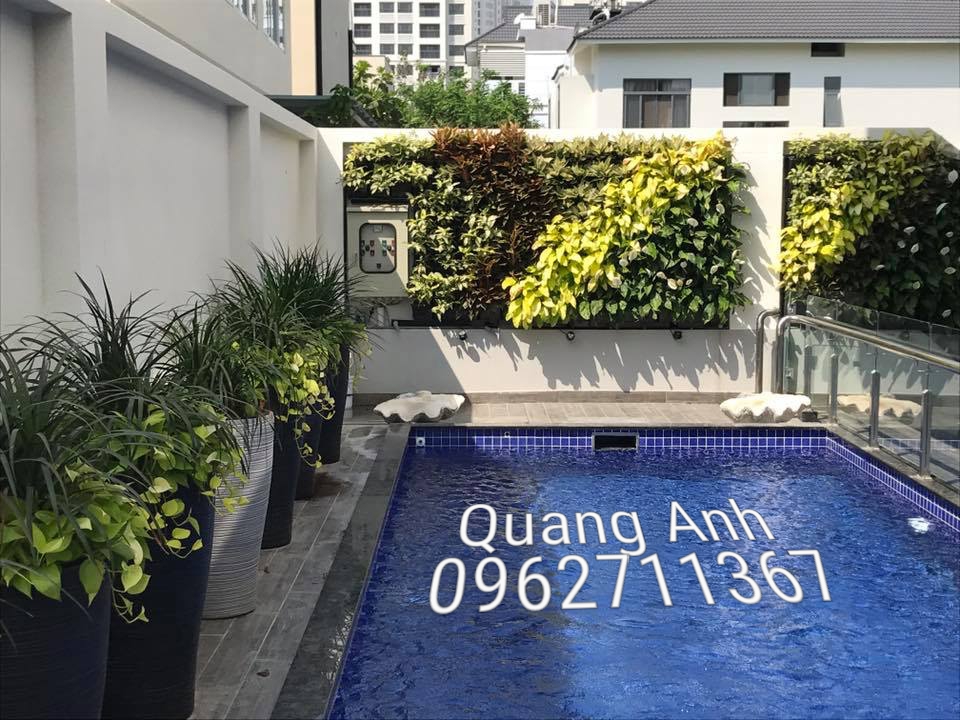 Vườn tường đứng Quang Anh TPHCM – Giải pháp không gian xanh nhanh nhất, hiệu quả nhất! Vườn tường đứng Quang Anh TPHCM – Giải pháp không gian xanh nhanh nhất, hiệu quả nhất!