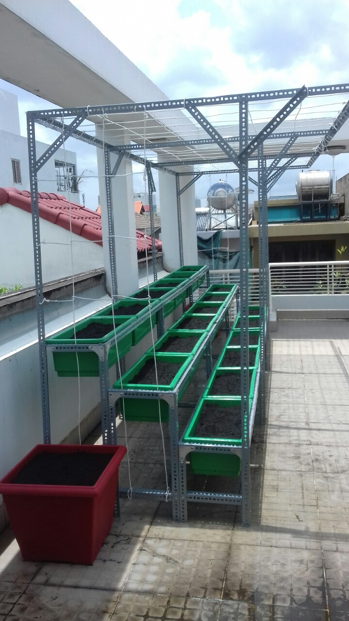 Quang Anh địa chỉ thiết kế vườn trên sân thượng tốt nhất hiện nay Quang Anh địa chỉ thiết kế vườn trên sân thượng tốt nhất hiện nay