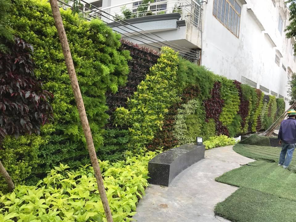 Thiết kế trang trí mảng vườn tường thẳng đứng Thiết kế trang trí mảng vườn tường thẳng đứng