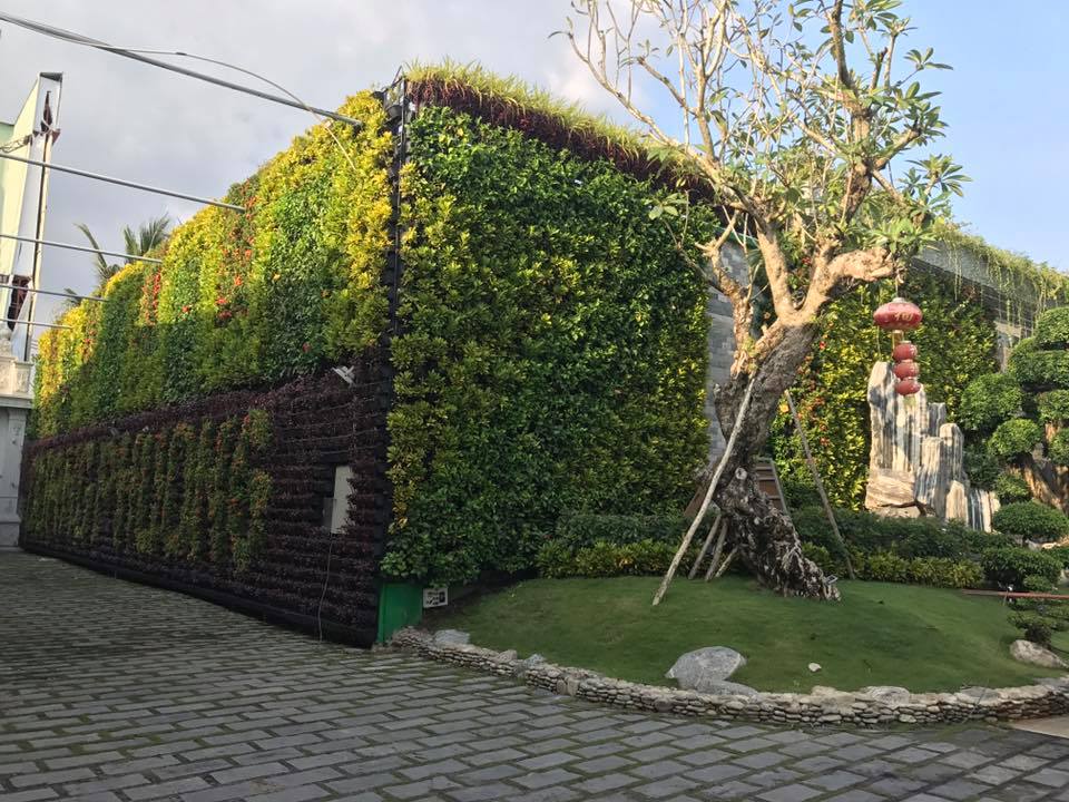 Cách thi công vườn tường xanh nhanh chóng Cách thi công vườn tường xanh nhanh chóng