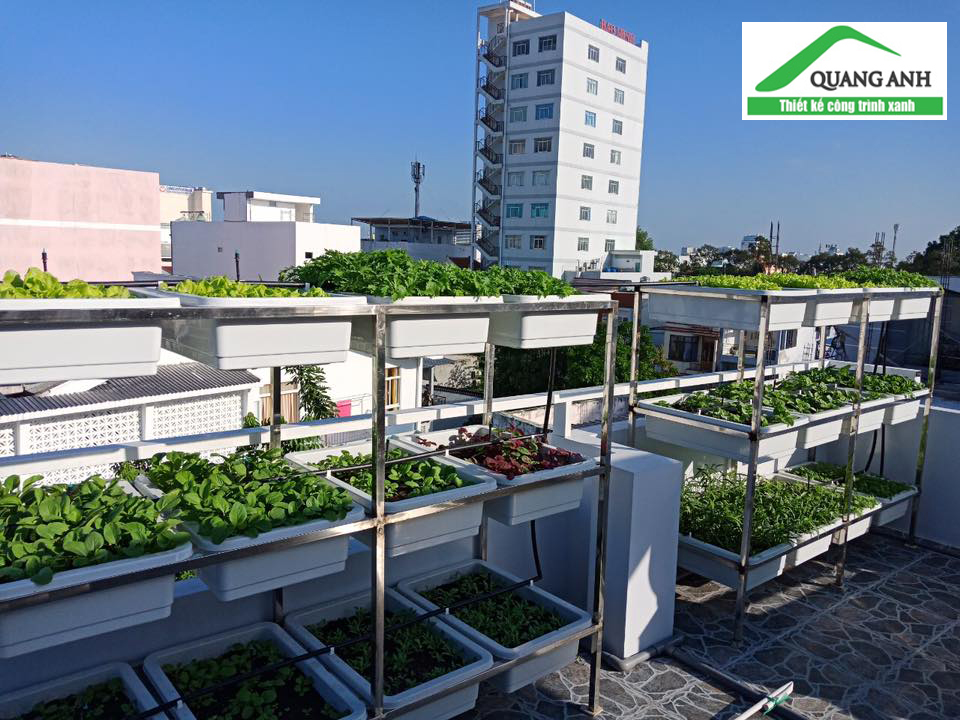 Dịch vụ thiết kế vườn rau sạch tại nhà - Quang Anh HCM Dịch vụ thiết kế vườn rau sạch tại nhà - Quang Anh HCM