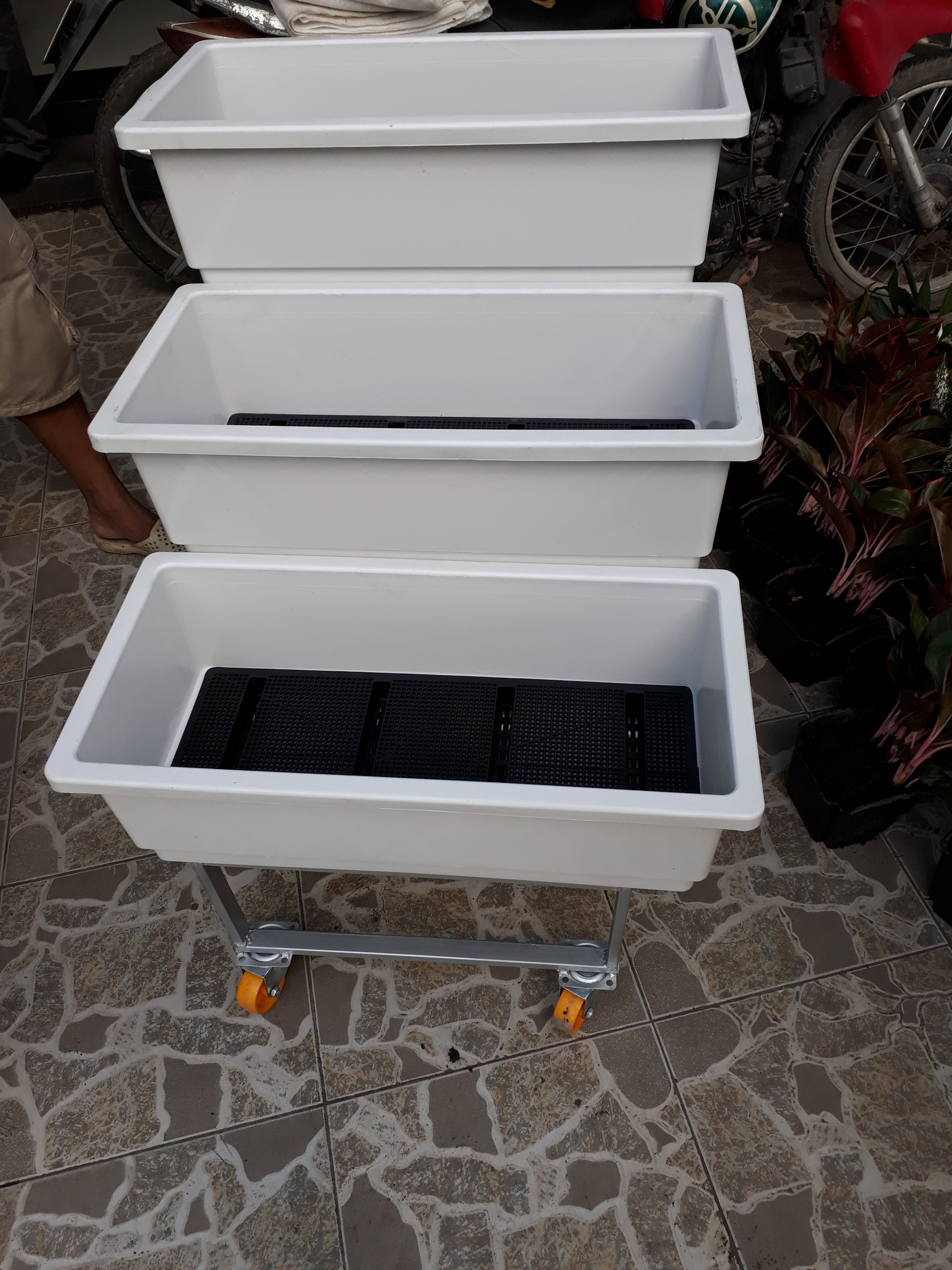 Kệ trồng rau sạch thông minh Quang Anh-Địa chỉ cung cấp sản phẩm tốt nhất hiện nay Kệ trồng rau sạch thông minh Quang Anh-Địa chỉ cung cấp sản phẩm tốt nhất hiện nay