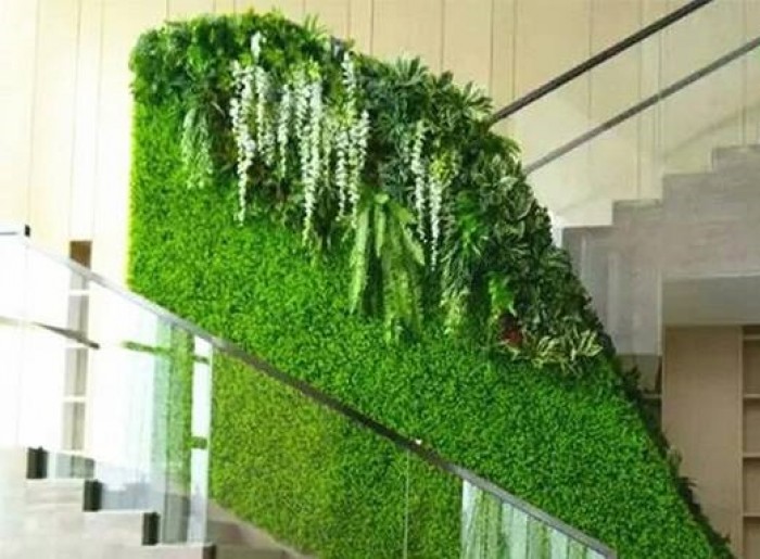 Thiết kế vườn tường giả ở quận Nhất và các quận khác ở HCM. Thiết kế vườn tường giả ở quận Nhất và các quận khác ở HCM.