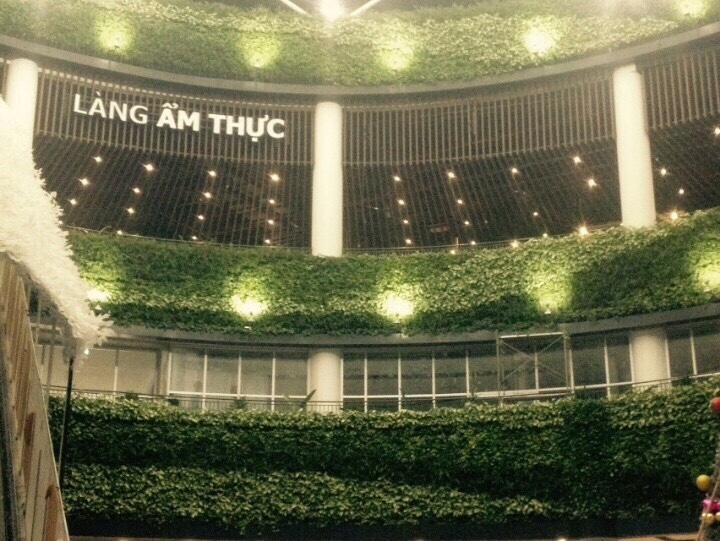 Thiết kế mô hình trồng cây trên tường đứng trong nhà đẹp nhất
