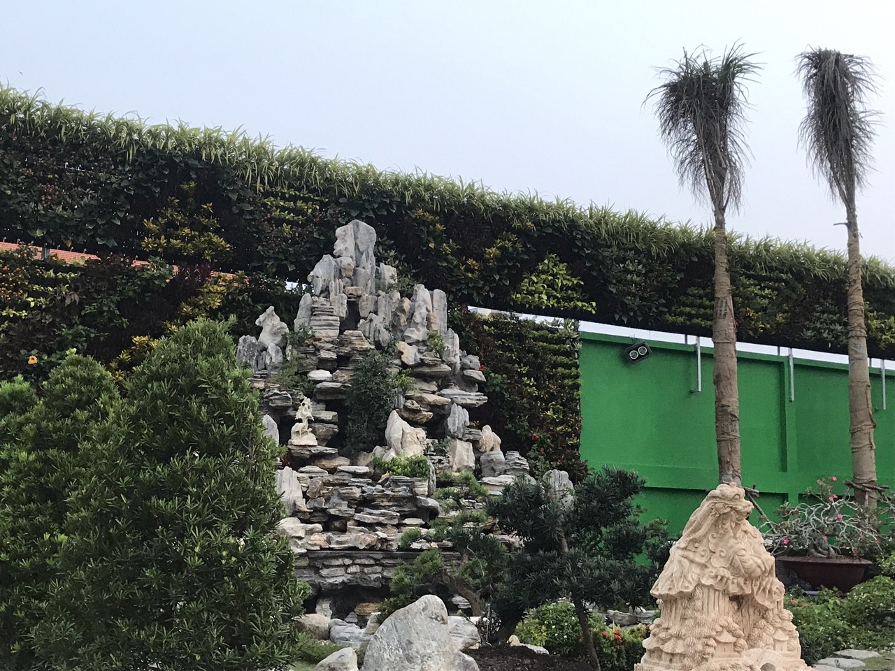 Dự án thi công vườn tường đứng 1000m2 Bình Chánh hoàn tất Dự án thi công vườn tường đứng 1000m2 Bình Chánh hoàn tất