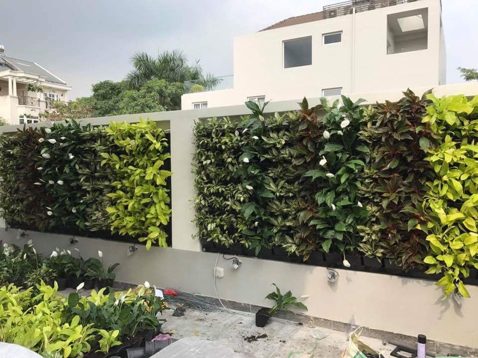 Nơi thiết kế vườn tường đứng trong nhà chất lượng nhất hiện nay Nơi thiết kế vườn tường đứng trong nhà chất lượng nhất hiện nay