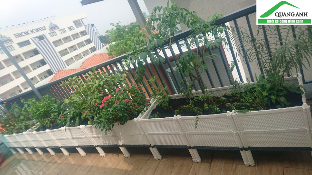 Chậu ghép trồng hoa hồng thông minh Chậu ghép trồng hoa hồng thông minh