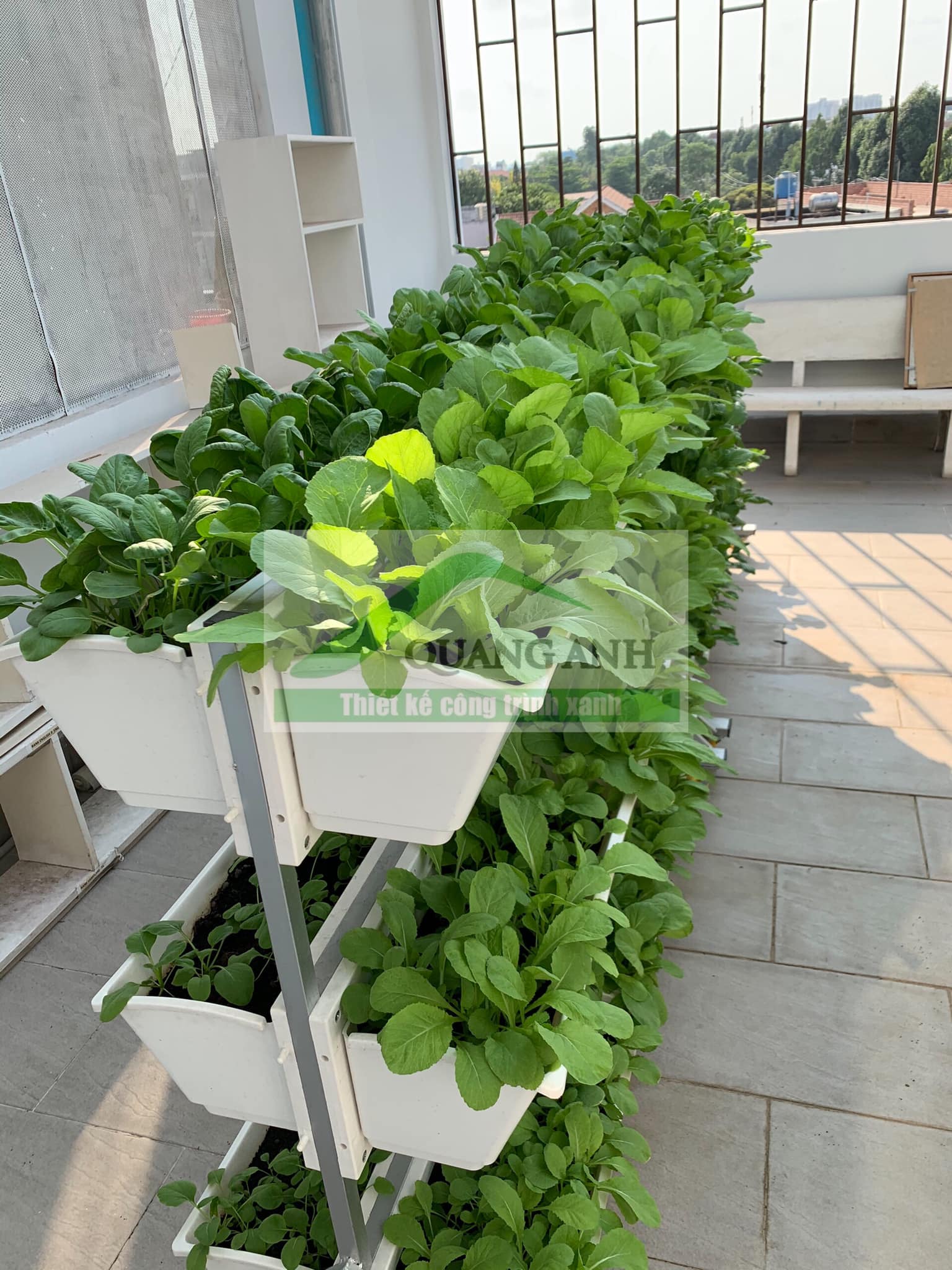 Top các giàn trồng rau bán chạy nhất của Quang Anh HCM Top các giàn trồng rau bán chạy nhất của Quang Anh HCM
