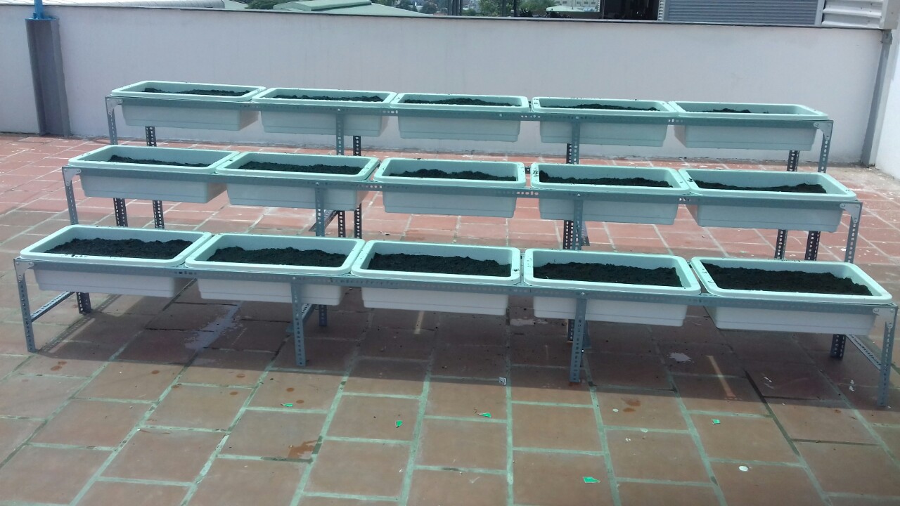 Kệ trồng rau di động 6 chậu và 16 chậu