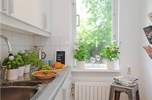 8 loại cây cảnh nên trồng trong nhà bếp vì có khả năng lọc không khí và khử mùi cực tốt 8 loại cây cảnh nên trồng trong nhà bếp vì có khả năng lọc không khí và khử mùi cực tốt