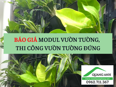 Báo giá modul vườn tường, thi công vườn tường đứng 