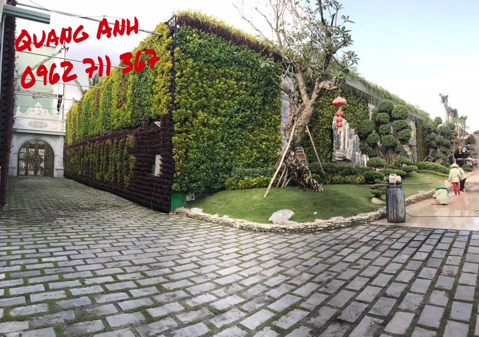 Thăm lại công trình vườn tường đứng tại Bình Chánh Thăm lại công trình vườn tường đứng tại Bình Chánh