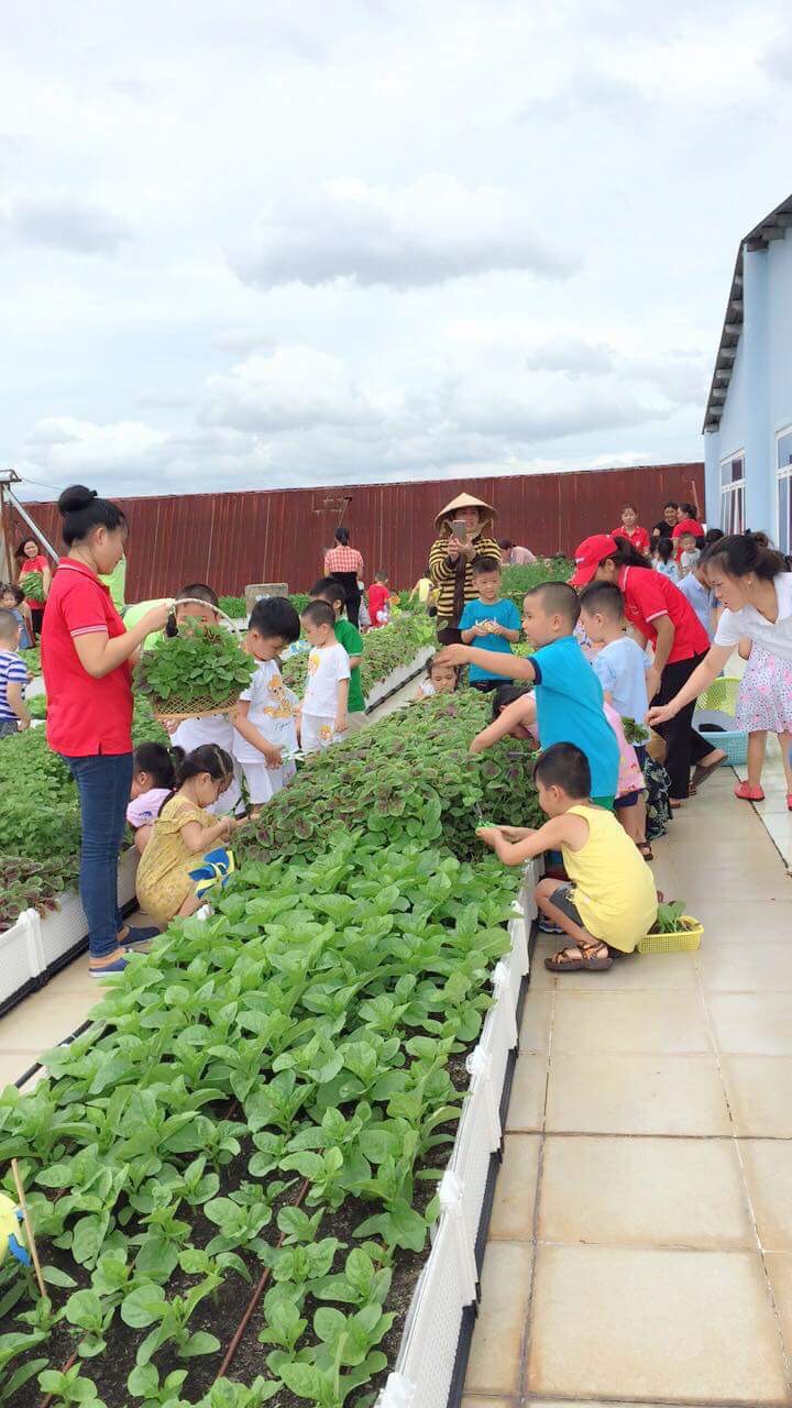 Quang Anh HCM - chuyên thi công mô hình vườn rau của bé tại các trường mầm non! Quang Anh HCM - chuyên thi công mô hình vườn rau của bé tại các trường mầm non!