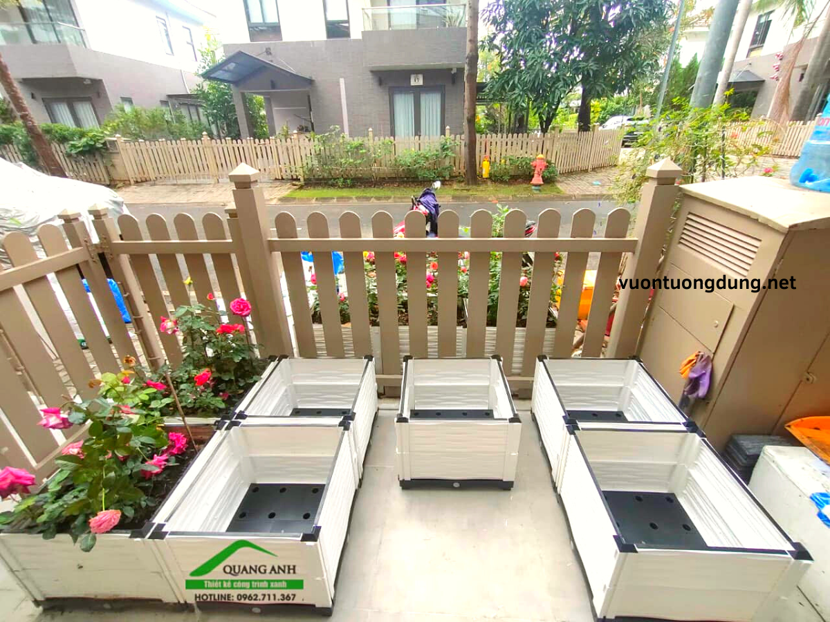 Trồng hoa đón Tết không thể bỏ qua chậu ghép thông minh Trồng hoa đón Tết không thể bỏ qua chậu ghép thông minh