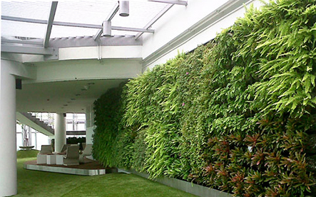 Làm đẹp nhà nhanh chóng với bức tường xanh tại Thảo Điền - Công ty Quang Anh HCM thi công thực hiện Làm đẹp nhà nhanh chóng với bức tường xanh tại Thảo Điền - Công ty Quang Anh HCM thi công thực hiện