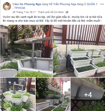 Thiết kế thi công vườn rau sạch tại nhà chị Nga – Lê Thị Riêng Quận 1