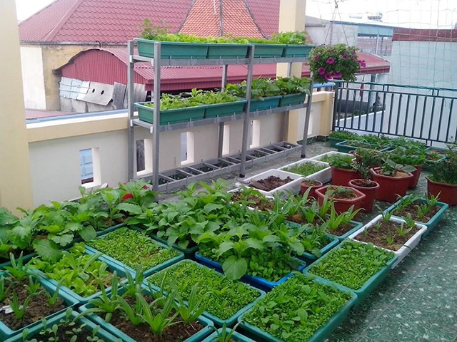 Giải pháp tận dụng không gian sân thượng hiệu quả Giải pháp tận dụng không gian sân thượng hiệu quả