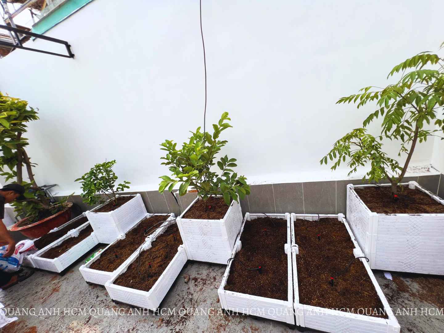 Thiết Kế Vườn Rau Sạch Bằng Chậu Ghép Đơn Giản Dễ Làm Thiết Kế Vườn Rau Sạch Bằng Chậu Ghép Đơn Giản Dễ Làm