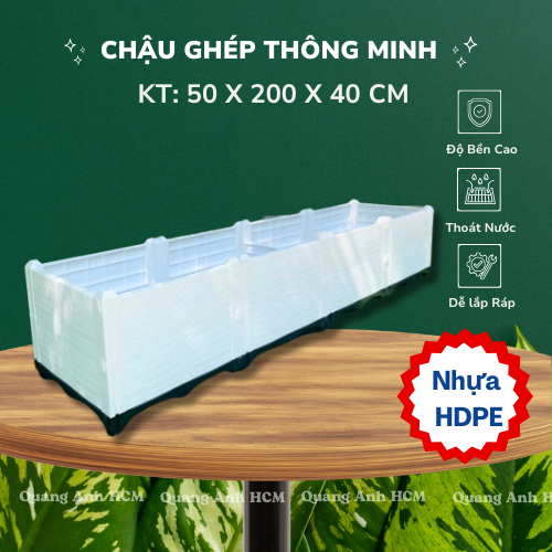 Chậu ghép luống 50x200x40 (cm) trồng rau thông minh cho vườn phố Chậu ghép luống 50x200x40 (cm) trồng rau thông minh cho vườn phố