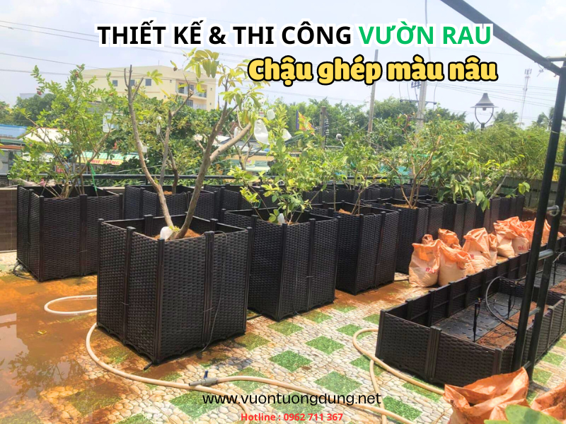 Vườn Rau Sân Thượng Với Chậu Ghép Màu Nâu Vườn Rau Sân Thượng Với Chậu Ghép Màu Nâu
