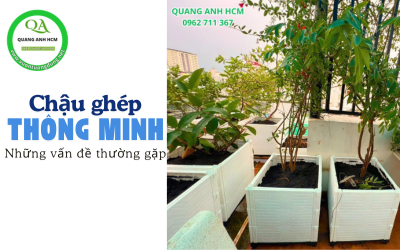 Những vấn đề thường gặp khi trồng cây trong chậu ghép và cách xử lý Những vấn đề thường gặp khi trồng cây trong chậu ghép và cách xử lý