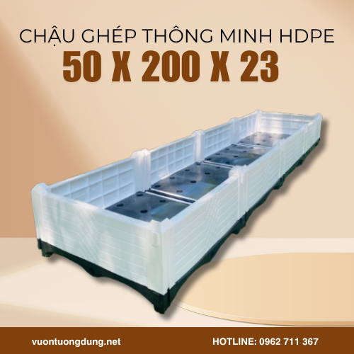 Kích Thước Chậu Ghép Nào Phù Hợp Trồng Rau, Trồng Cây Ăn Quả Tại Nhà?