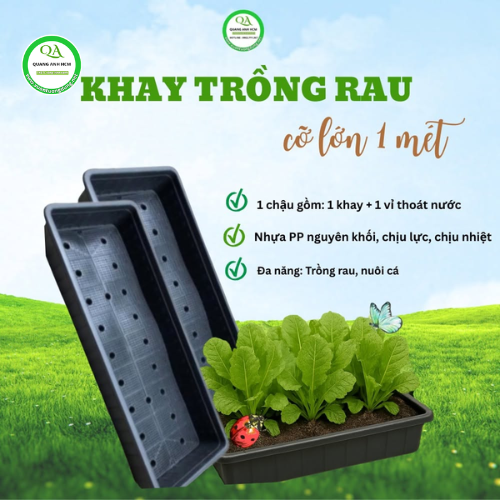 Chậu Nhựa Trồng Rau 1m KT 102x43x16cm giá siêu rẻ Tại TPHCM