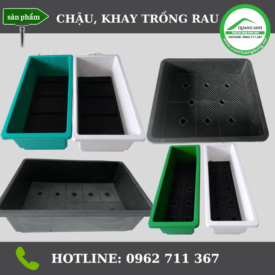 Chậu nhựa, khay trồng rau đủ kích thước, nhiều màu sắc cho khách tha hồ lựa chọn Chậu nhựa, khay trồng rau đủ kích thước, nhiều màu sắc cho khách tha hồ lựa chọn