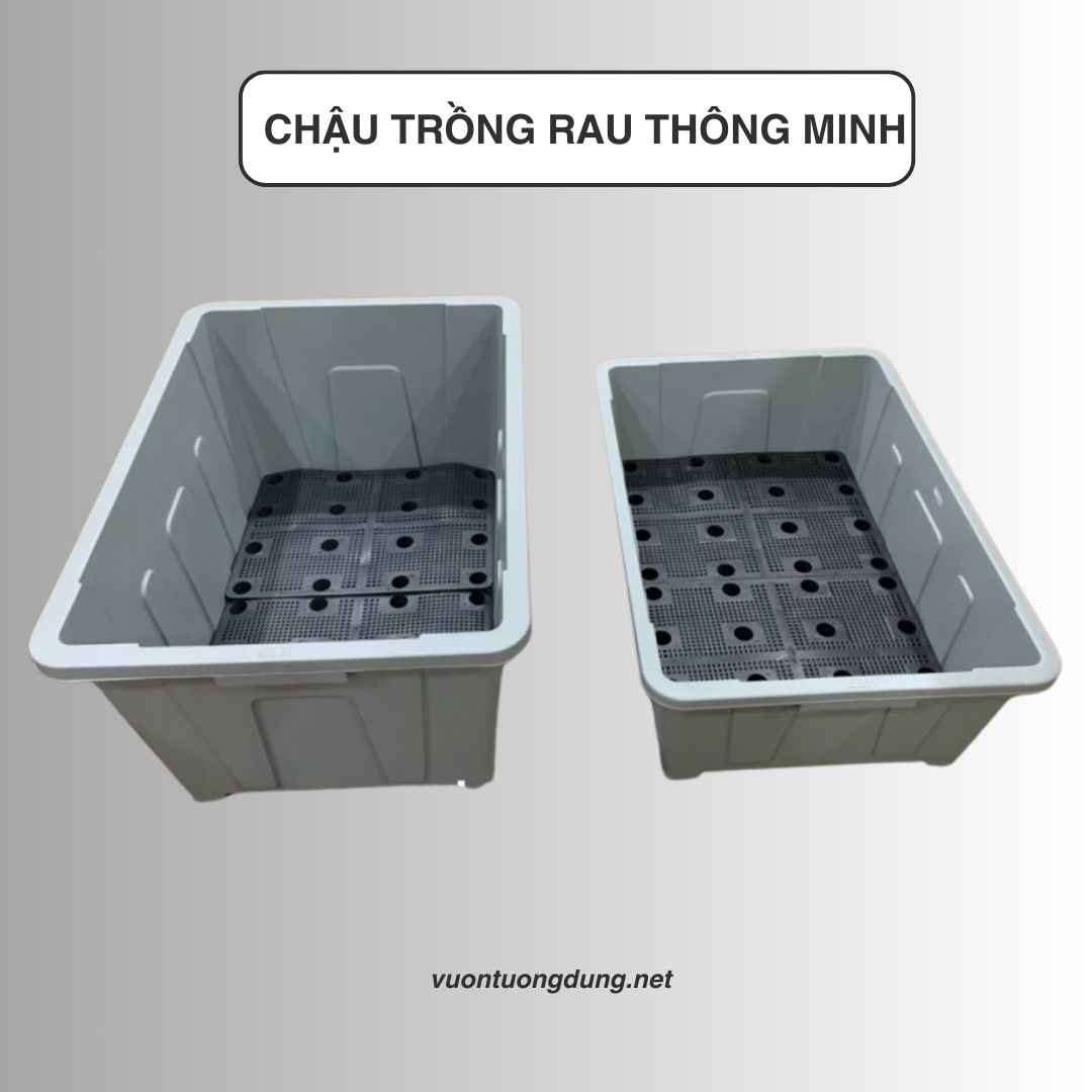 Chậu nhựa trồng rau 63x43x25 cm, dung tích 50L Chậu nhựa trồng rau 63x43x25 cm, dung tích 50L