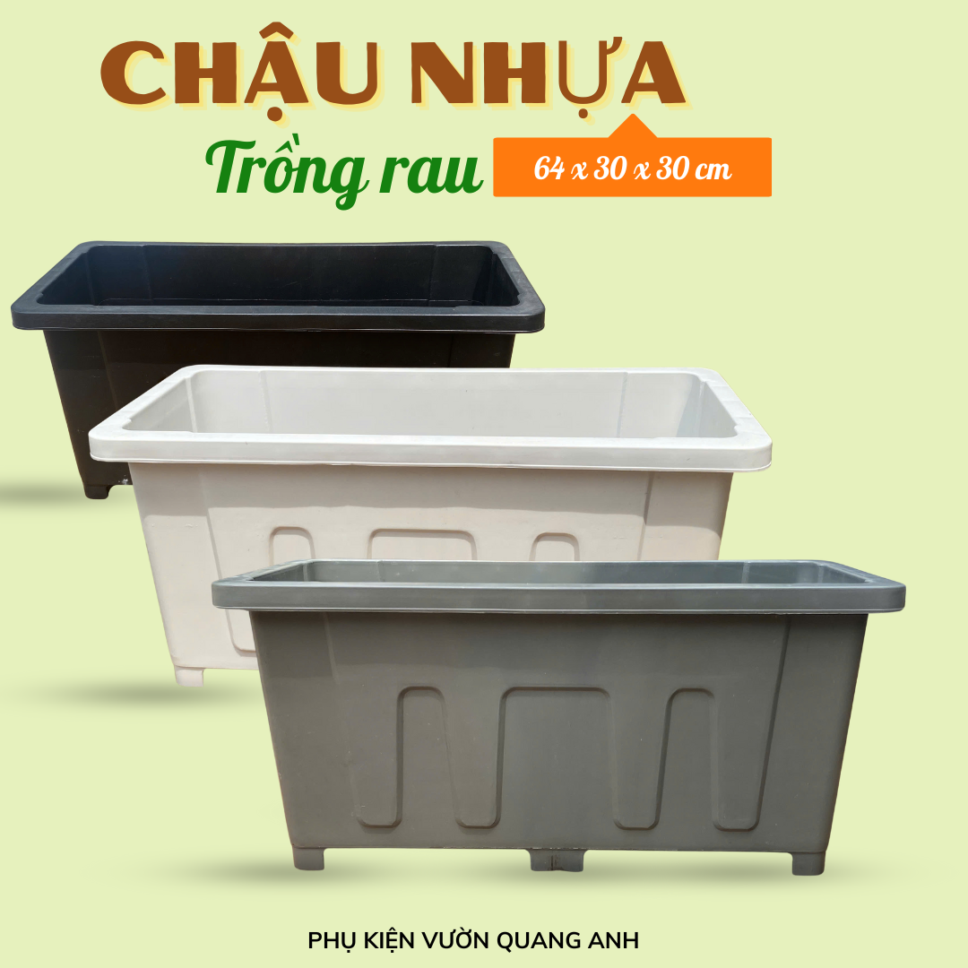 Chậu nhựa trồng rau thông minh 64x30x30 nhựa pp kèm vỉ thoát nước Chậu nhựa trồng rau thông minh 64x30x30 nhựa pp kèm vỉ thoát nước
