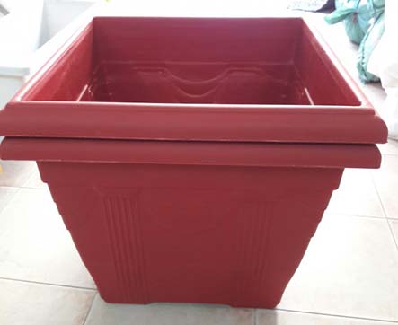 Chậu vuông sâu trồng bầu bí Chậu vuông sâu trồng bầu bí